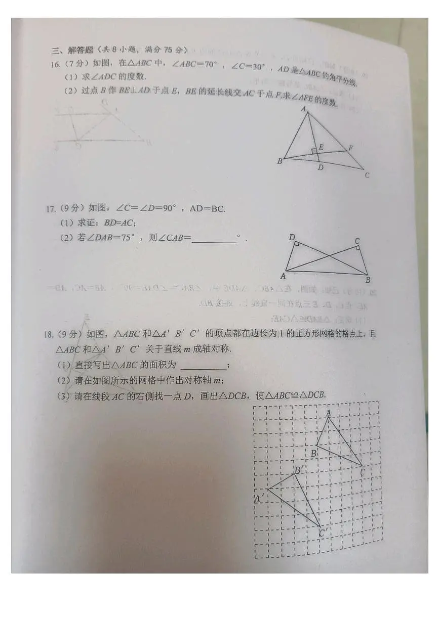 河南省驻马店市汝南县2024-2025学年八年级上学期11月期中考试数学试题第3页
