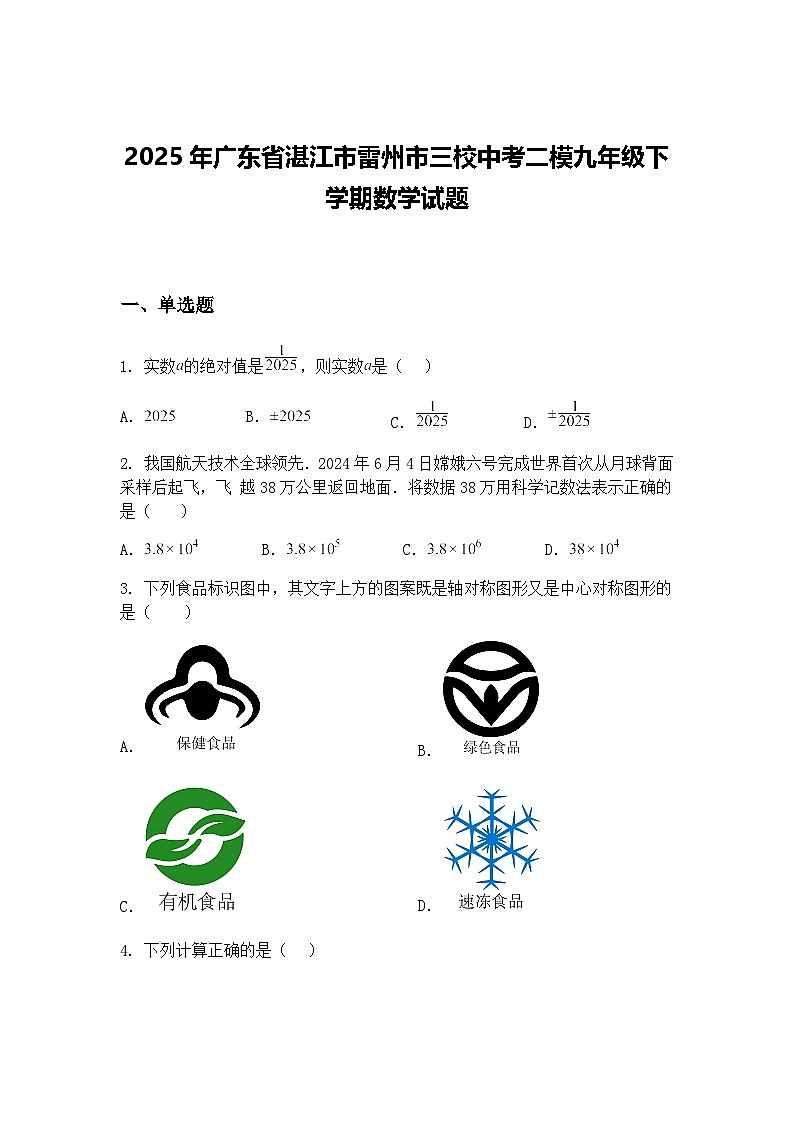 2025年广东省湛江市雷州市三校中考二模九年级下学期数学试题（含答案解析）第1页