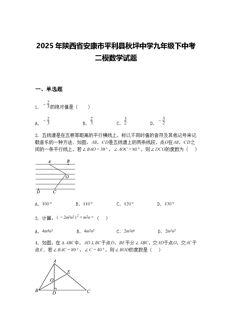 2025年陕西省安康市平利县秋坪中学九年级下中考二模数学试题（含答案解析）第1页