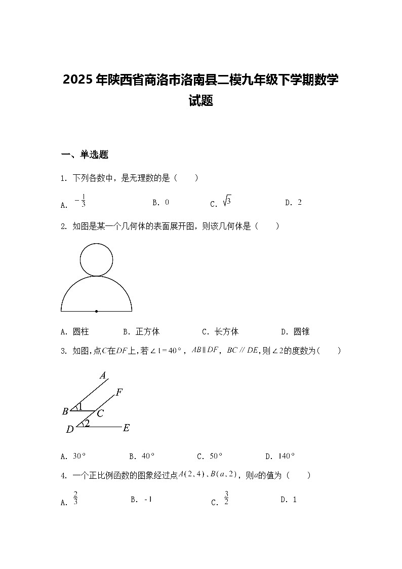2025年陕西省商洛市洛南县二模九年级下学期数学试题（含答案解析）第1页