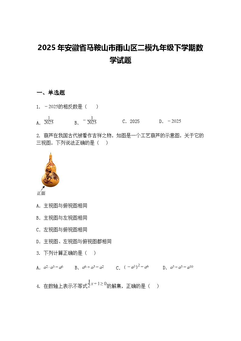 2025年安徽省马鞍山市雨山区二模九年级下学期数学试题（含答案解析）第1页