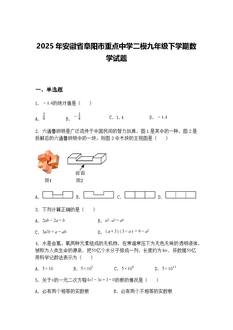 2025年安徽省阜阳市重点中学二模九年级下学期数学试题（含答案解析）第1页