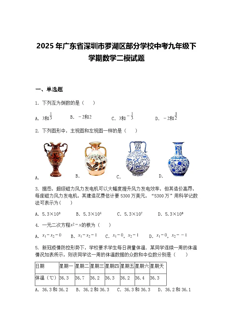 2025年广东省深圳市罗湖区部分学校中考九年级下学期数学二模试题（含答案解析）第1页