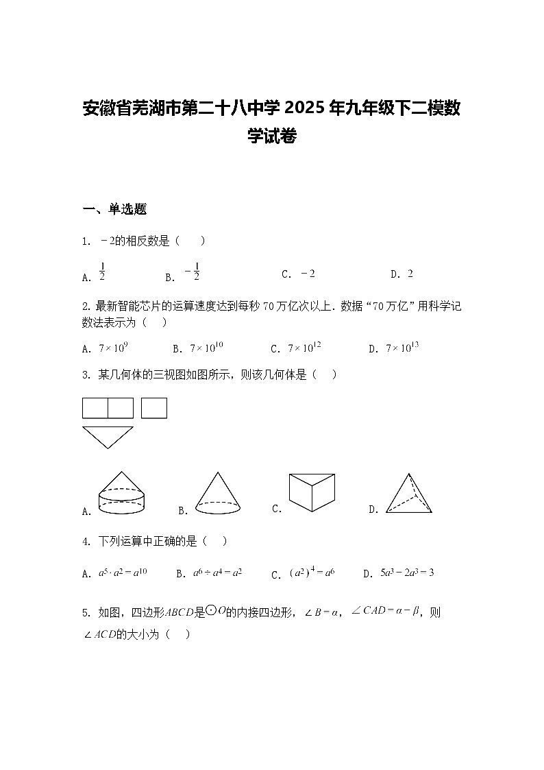 安徽省芜湖市第二十八中学2025年九年级下二模数学试卷（含答案解析）第1页