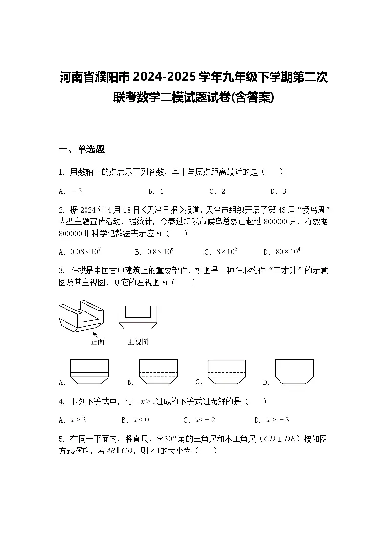 河南省濮阳市2024-2025学年九年级下学期第二次联考数学二模试题试卷(含答案)（含答案解析）第1页