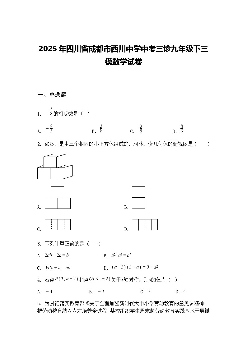 2025年四川省成都市西川中学中考三诊九年级下三模数学试卷（含答案解析）第1页