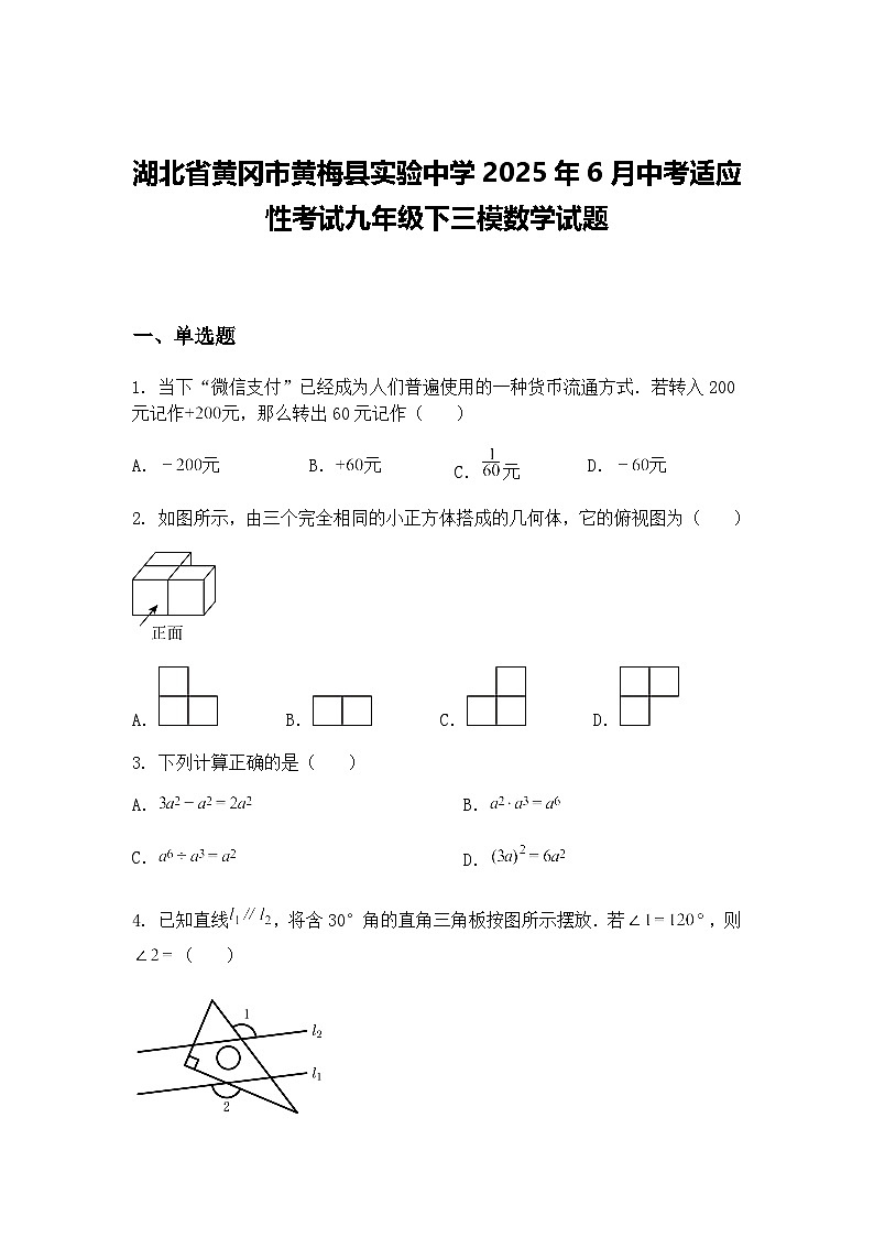 湖北省黄冈市黄梅县实验中学2025年6月中考适应性考试九年级下三模数学试题（含答案解析）第1页