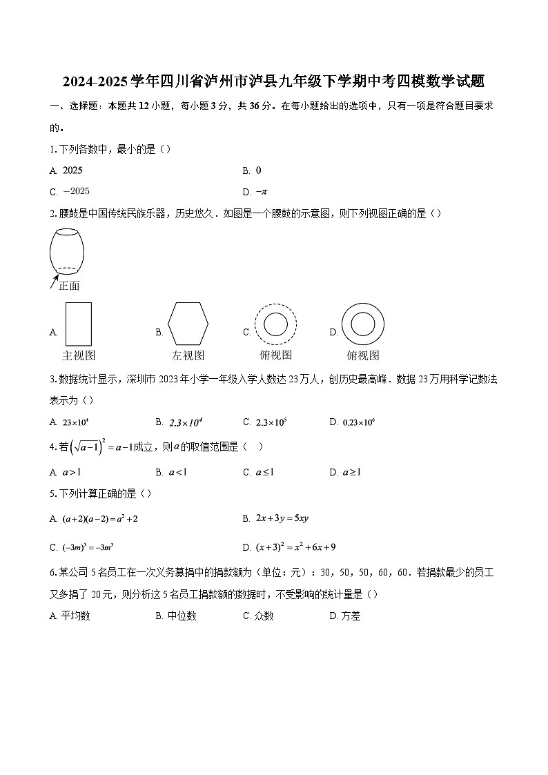 2024-2025学年四川省泸州市泸县九年级下学期中考四模数学试题-自定义类型第1页