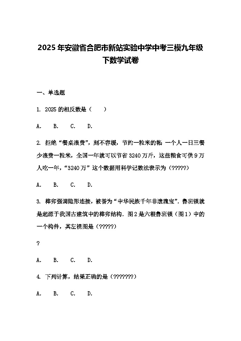 2025年安徽省合肥市新站实验中学中考三模九年级下数学试卷（含答案解析）第1页