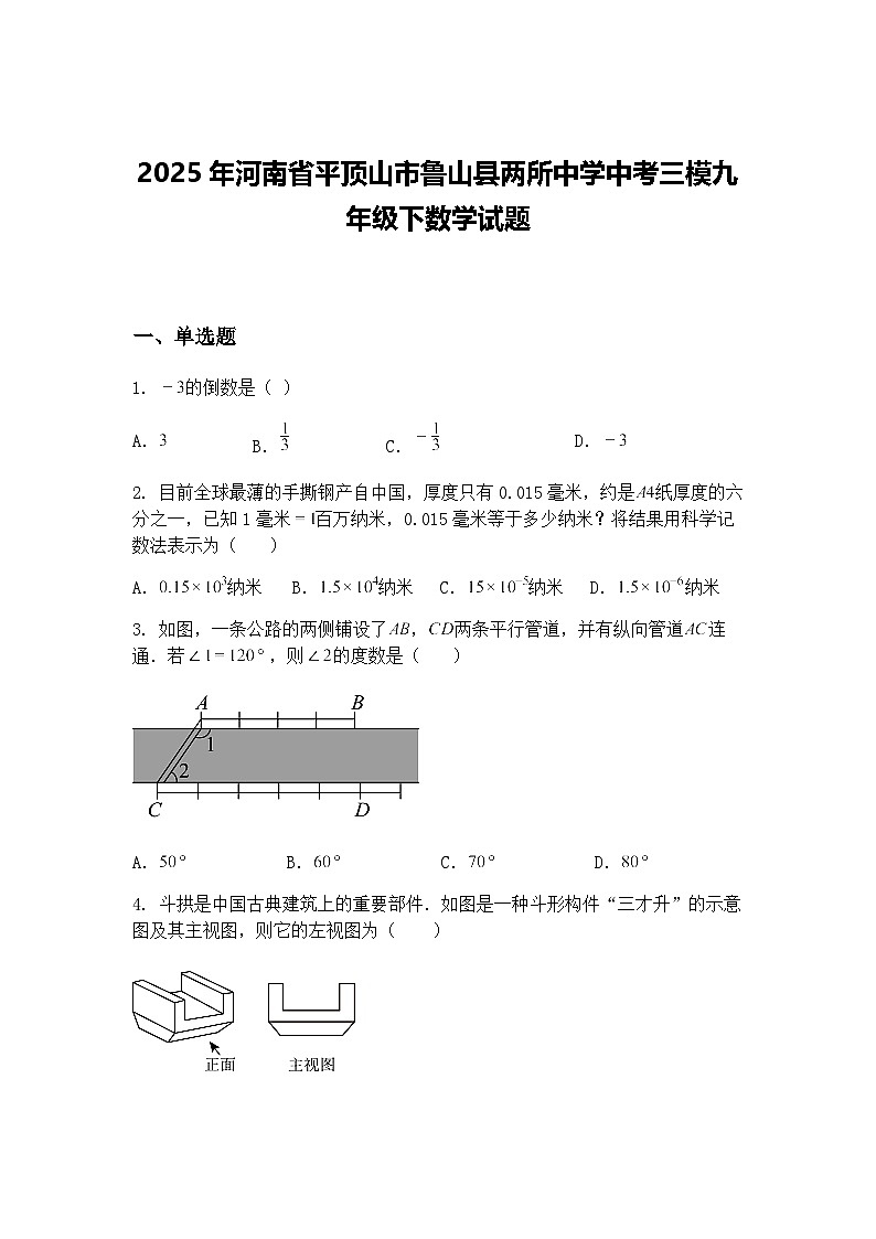 2025年河南省平顶山市鲁山县两所中学中考三模九年级下数学试题（含答案解析）第1页