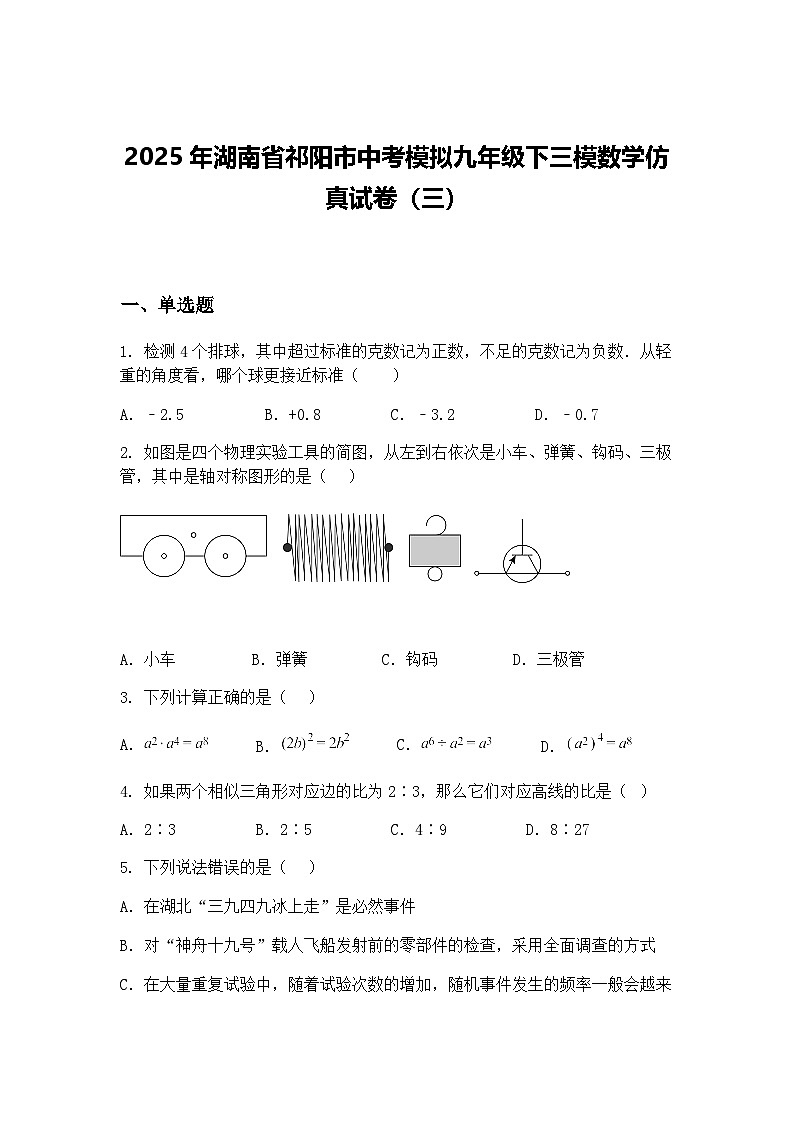 2025年湖南省祁阳市中考模拟九年级下三模数学仿真试卷（三）（含答案解析）第1页