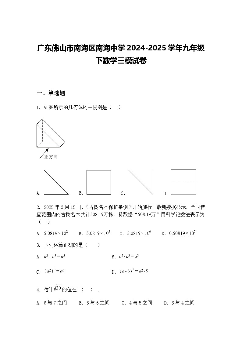 广东佛山市南海区南海中学2024-2025学年九年级下数学三模试卷（含答案解析）第1页