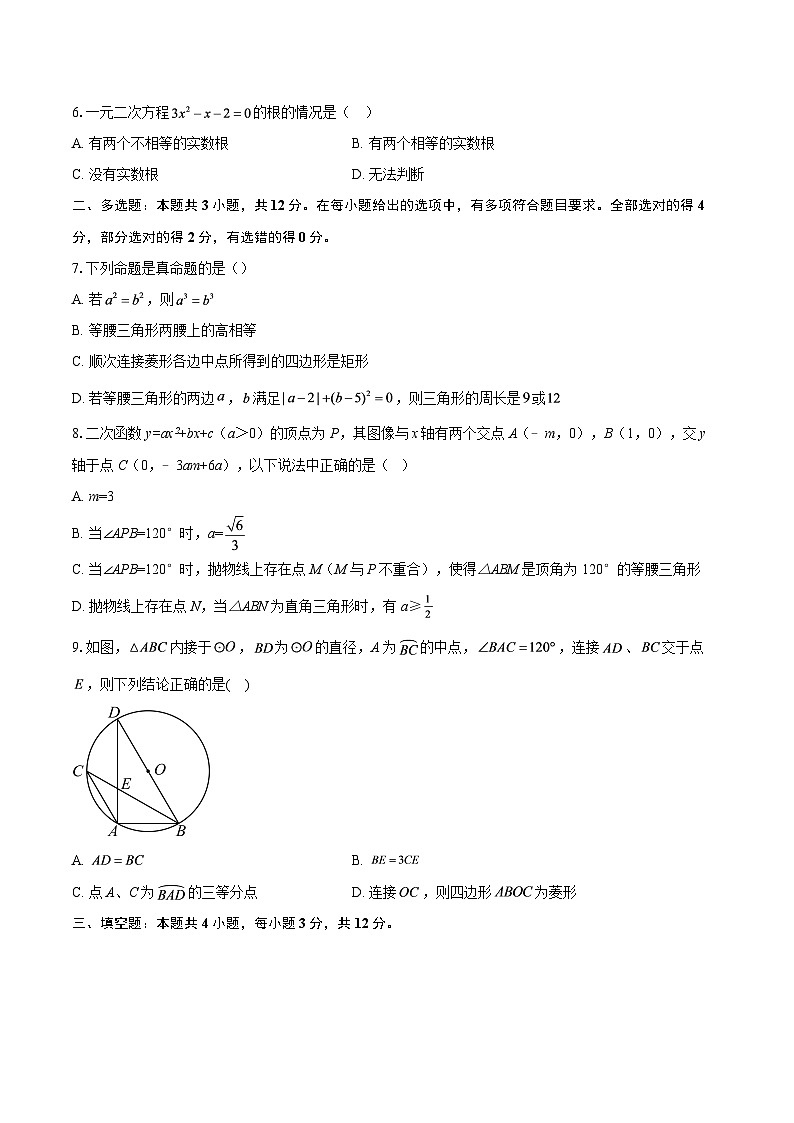 2025年山东省潍坊市中考数学模拟练习卷-自定义类型第2页