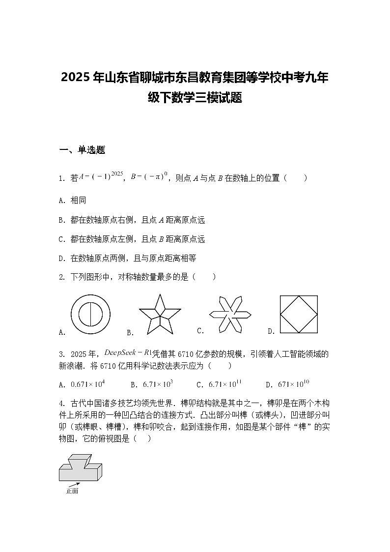 2025年山东省聊城市东昌教育集团等学校中考九年级下数学三模试题（含答案解析）第1页