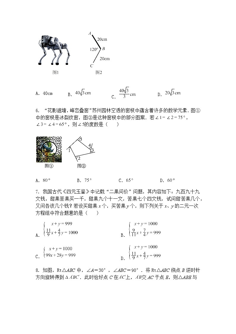 浙江省绍兴市六校联盟学校2025年九年级下学业水平适应性考试数学试卷(三模)（含答案解析）第2页