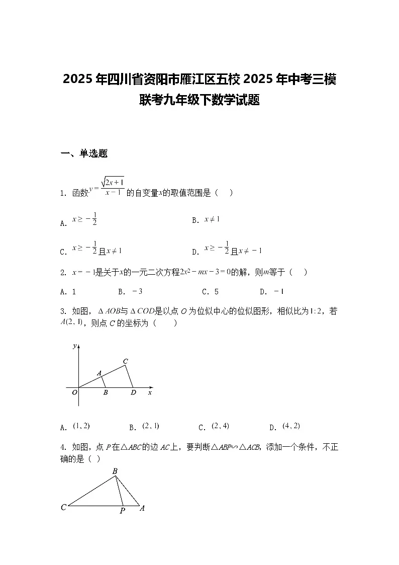 2025年四川省资阳市雁江区五校2025年中考三模联考九年级下数学试题（含答案解析）第1页