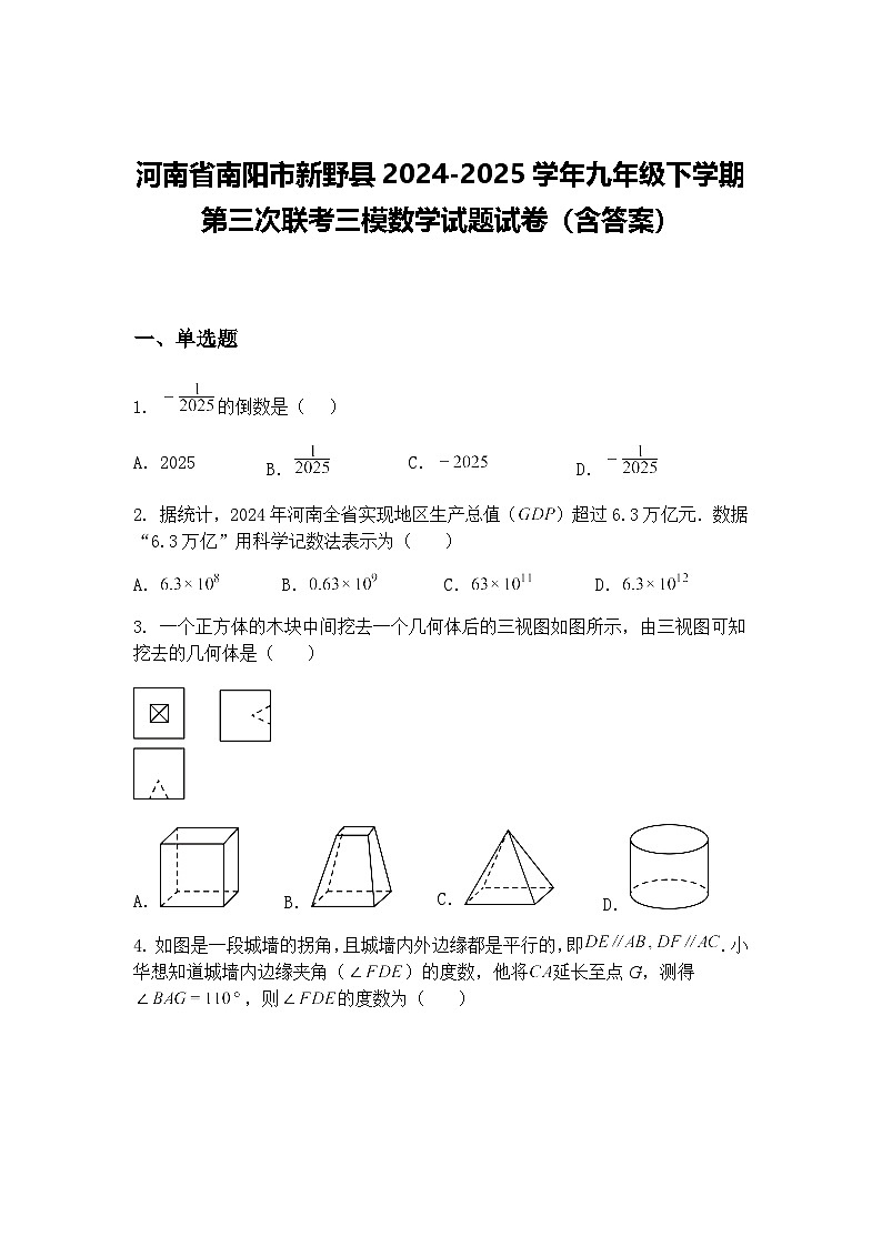 河南省南阳市新野县2024-2025学年九年级下学期第三次联考三模数学试题试卷（含答案）（含答案解析）第1页