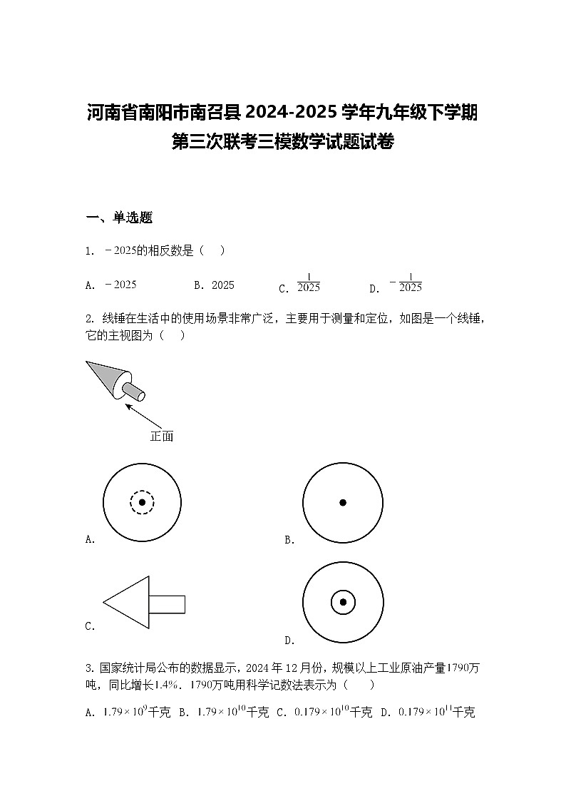 河南省南阳市南召县2024-2025学年九年级下学期第三次联考三模数学试题试卷（含答案解析）第1页