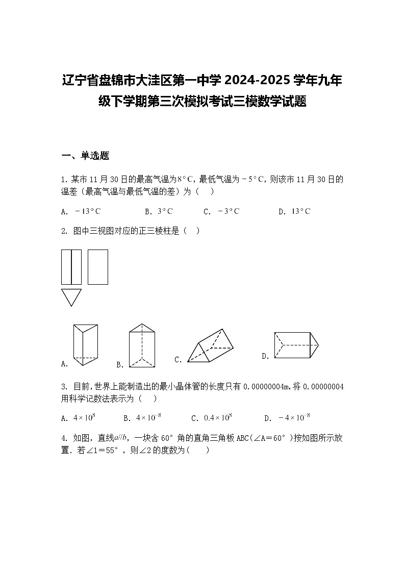 辽宁省盘锦市大洼区第一中学2024-2025学年九年级下学期第三次模拟考试三模数学试题（含答案解析）第1页