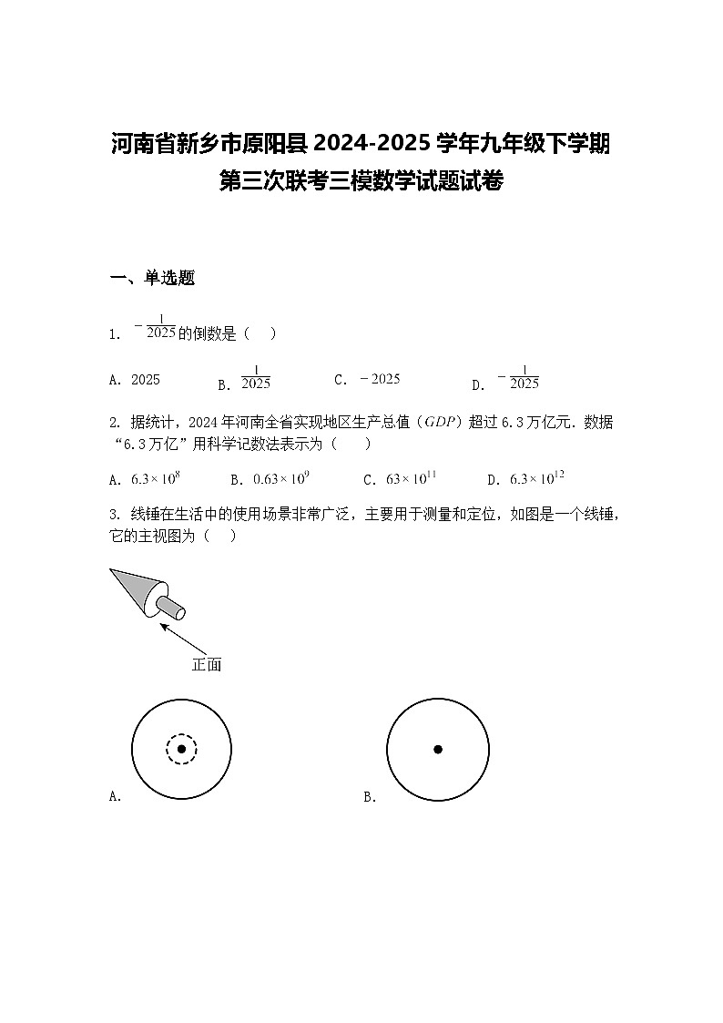 河南省新乡市原阳县2024-2025学年九年级下学期第三次联考三模数学试题试卷（含答案解析）第1页