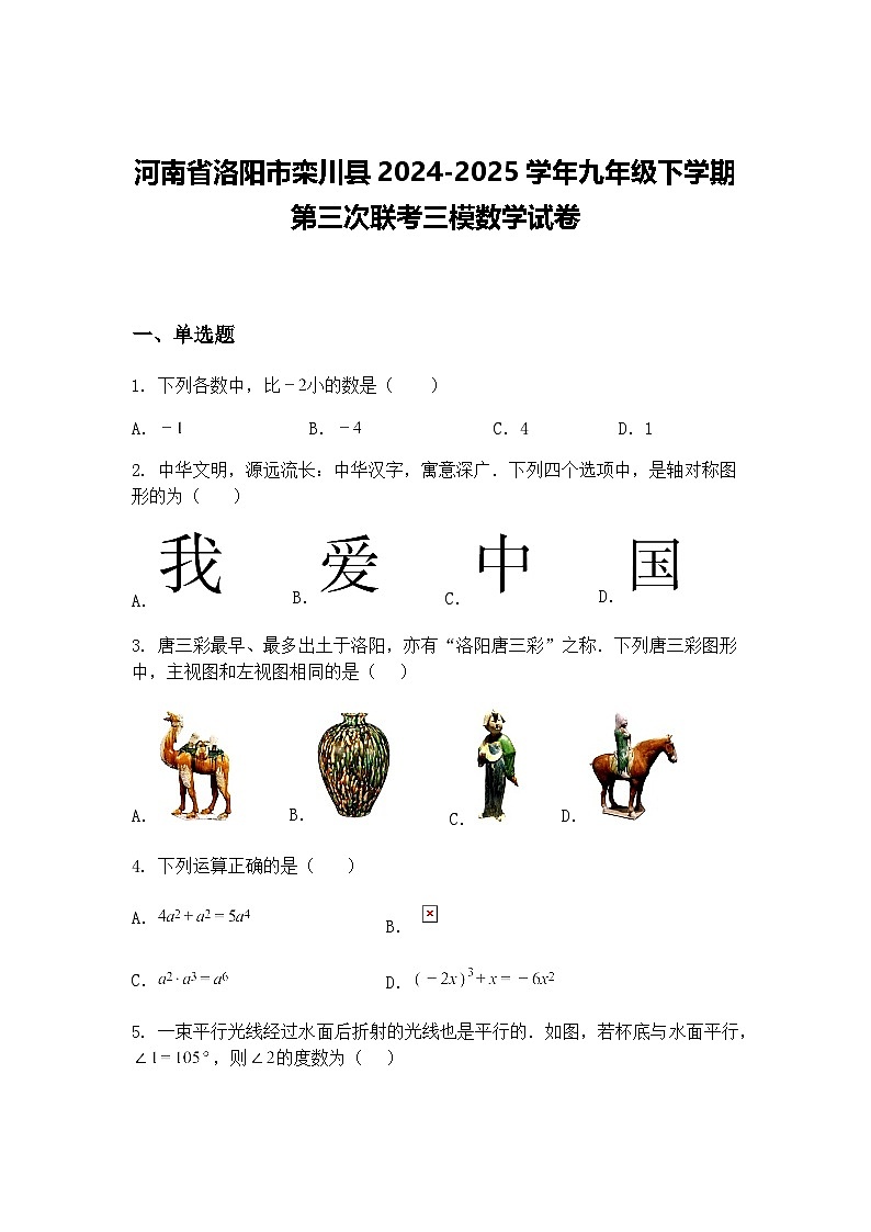 河南省洛阳市栾川县2024-2025学年九年级下学期第三次联考三模数学试卷（含答案解析）第1页