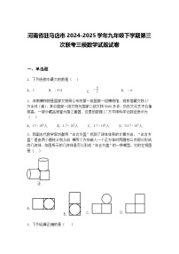 河南省驻马店市2024-2025学年九年级下学期第三次联考三模数学试题试卷（含答案解析）