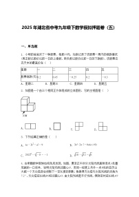 2025年湖北省中考九年级下数学模拟押题卷（五）（含答案解析）