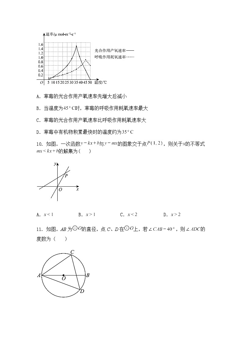 2025年甘肃省定西市中考九年级下数学模拟练习试卷（一）（含答案解析）第3页