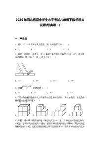 2025年河北省初中学业水平考试九年级下数学模拟试卷(经典卷一)(含答案解析)
