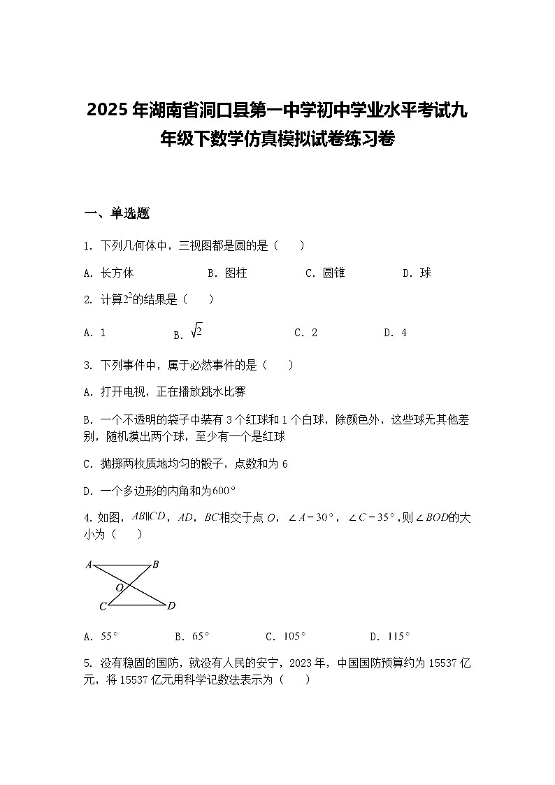 2025年湖南省洞口县第一中学初中学业水平考试九年级下数学仿真模拟试卷练习卷（含答案解析）第1页