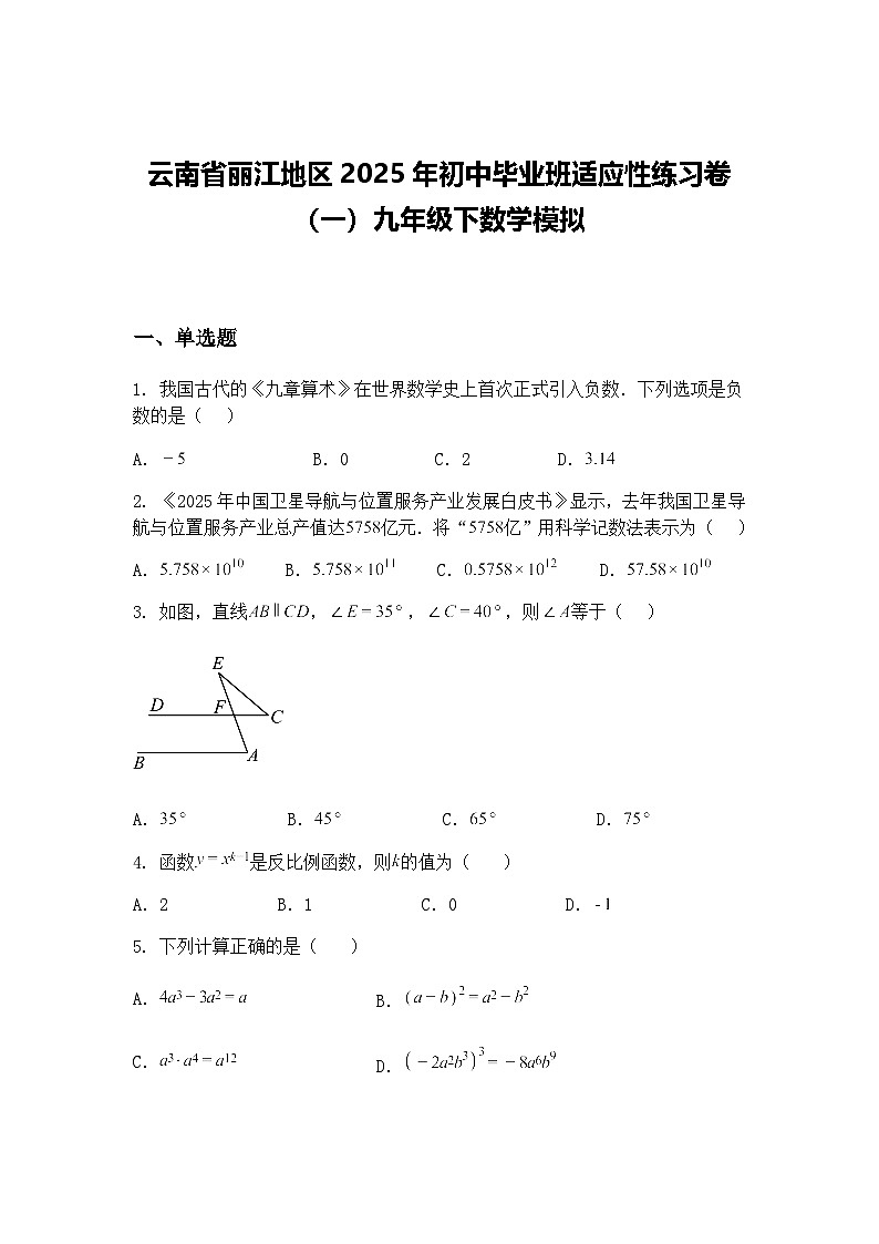 云南省丽江地区2025年初中毕业班适应性练习卷（一）九年级下数学模拟（含答案解析）第1页