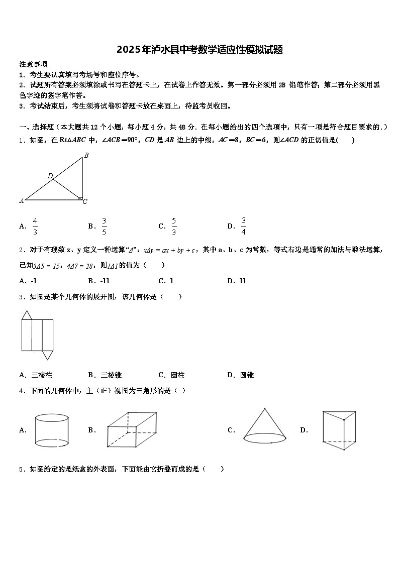 2025年泸水县中考数学适应性模拟试题含解析第1页