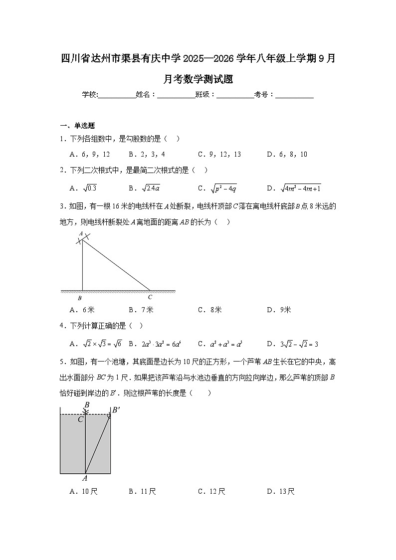 2025-2026学年四川省达州市渠县有庆中学八年级上学期9月月考数学试题第1页
