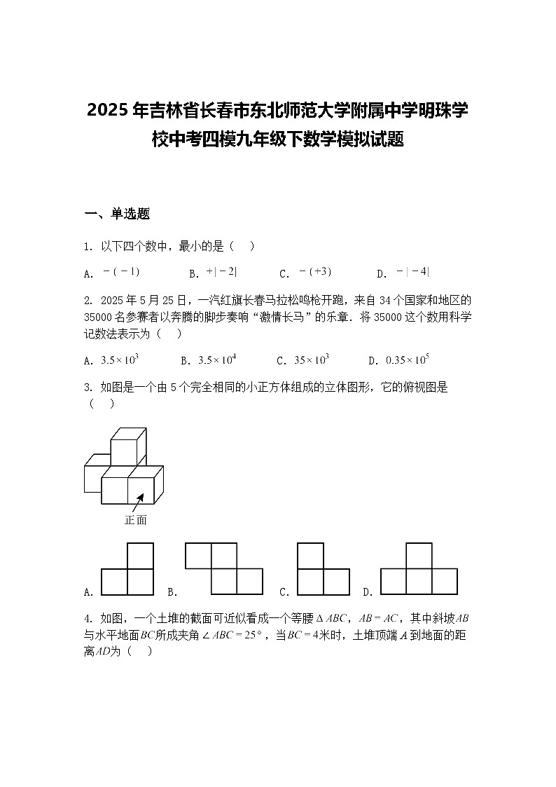2025年吉林省长春市东北师范大学附属中学明珠学校中考四模九年级下数学模拟试题（含答案解析）第1页