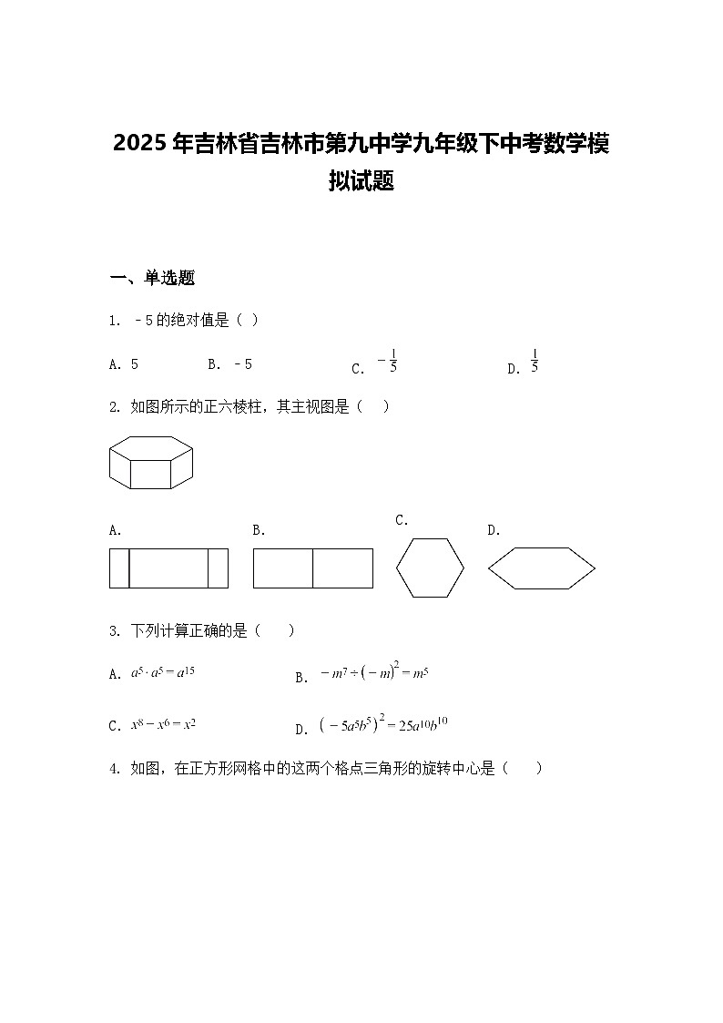 2025年吉林省吉林市第九中学九年级下中考数学模拟试题（含答案解析）第1页