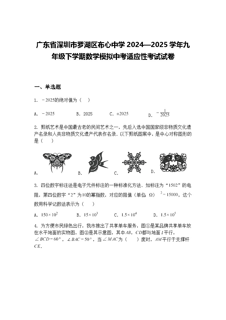 广东省深圳市罗湖区布心中学2024—2025学年九年级下学期数学模拟中考适应性考试试卷（含答案解析）第1页
