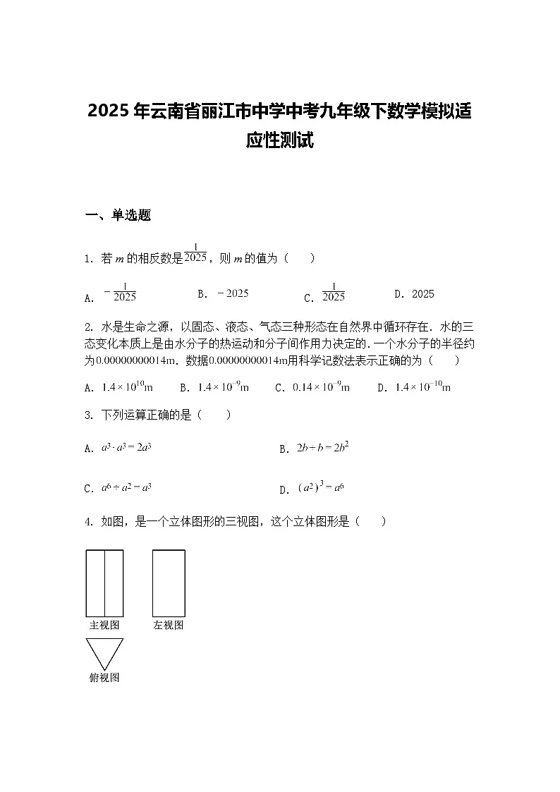 2025年云南省丽江市中学中考九年级下数学模拟适应性测试（含答案解析）第1页