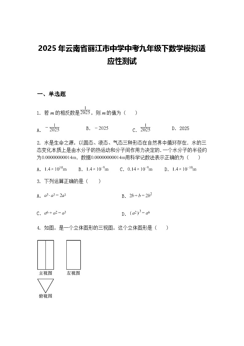 2025年云南省丽江市中学中考九年级下数学模拟适应性测试（含答案解析）第1页