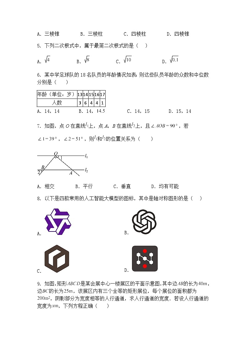 2025年云南省丽江市中学中考九年级下数学模拟适应性测试（含答案解析）第2页