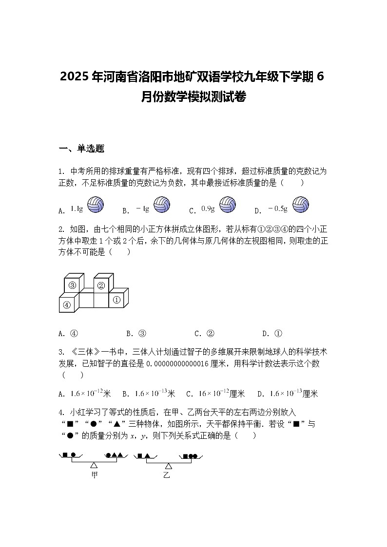2025年河南省洛阳市地矿双语学校九年级下学期6月份数学模拟测试卷（含答案解析）第1页