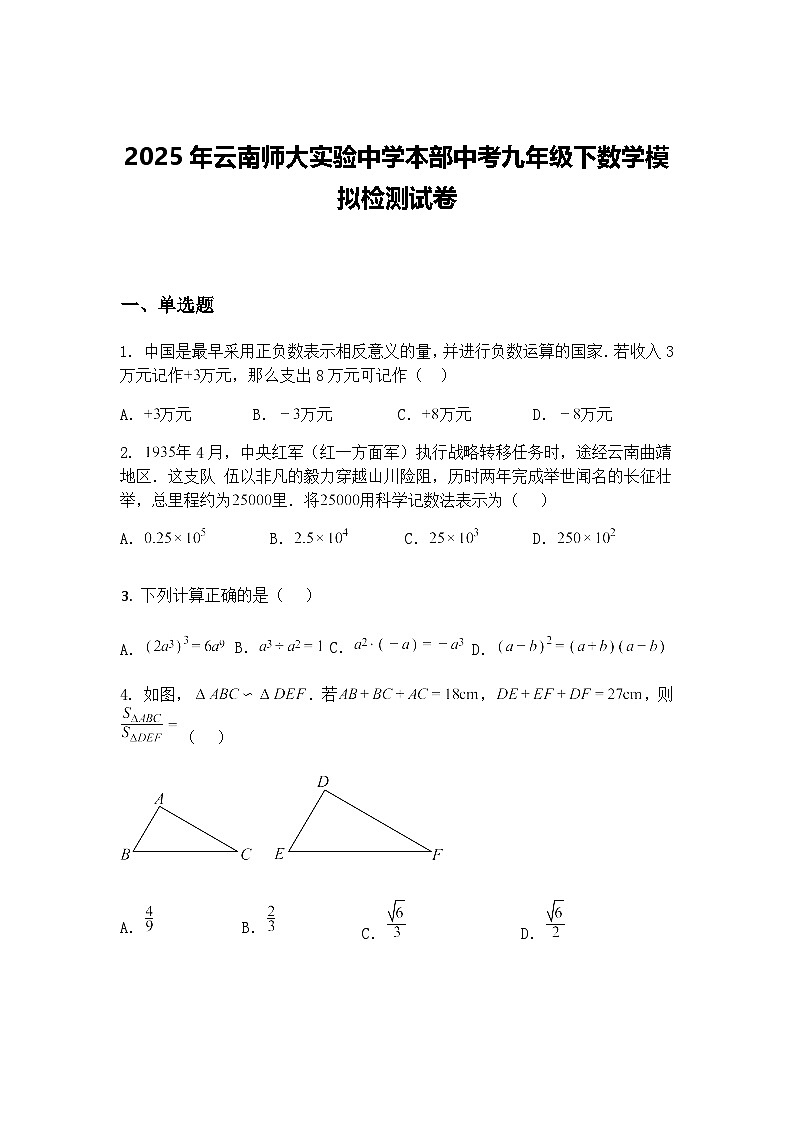 2025年云南师大实验中学本部中考九年级下数学模拟检测试卷（含答案解析）第1页