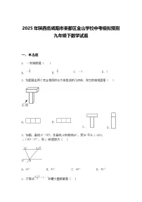 2025年陕西省咸阳市秦都区金山学校中考模拟预测九年级下数学试题（含答案解析）