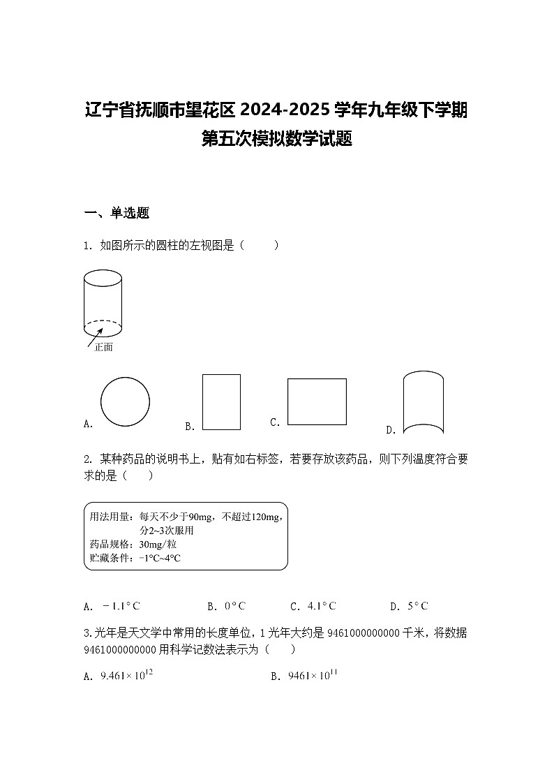 辽宁省抚顺市望花区2024-2025学年九年级下学期第五次模拟数学试题（含答案解析）第1页