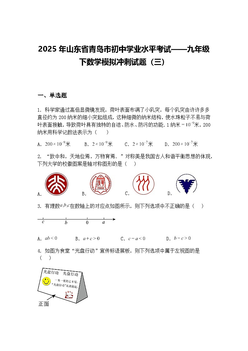 2025年山东省青岛市初中学业水平考试——九年级下数学模拟冲刺试题（三）（含答案解析）第1页