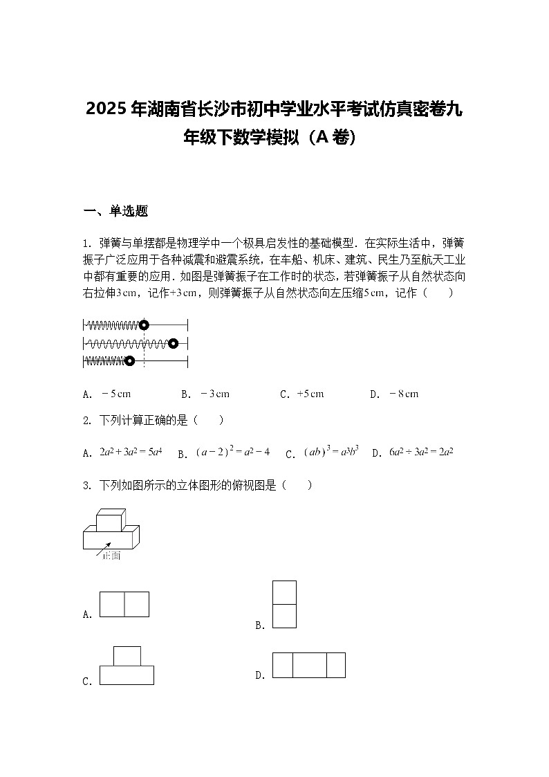 2025年湖南省长沙市初中学业水平考试仿真密卷九年级下数学模拟（A卷）（含答案解析）第1页