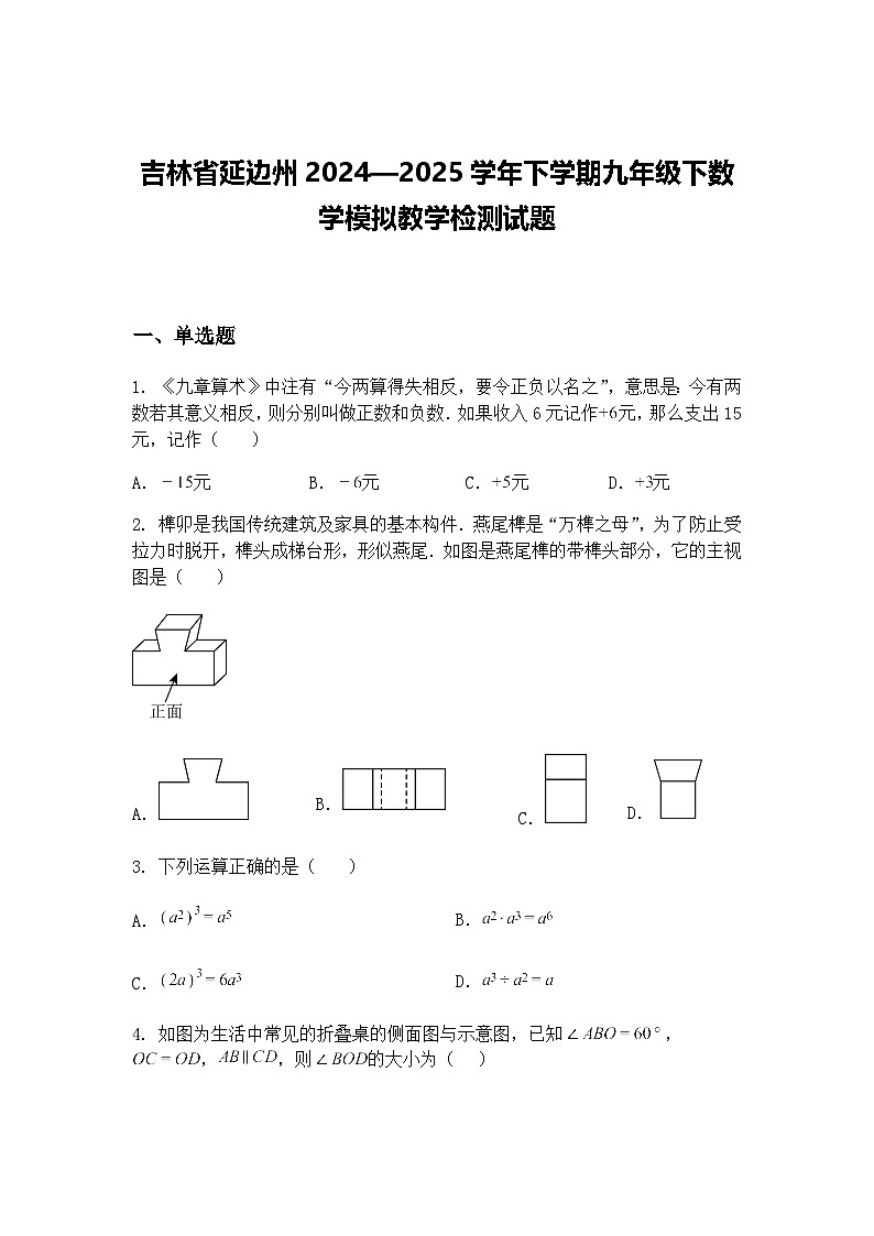 吉林省延边州2024—2025学年下学期九年级下数学模拟教学检测试题（含答案解析）第1页