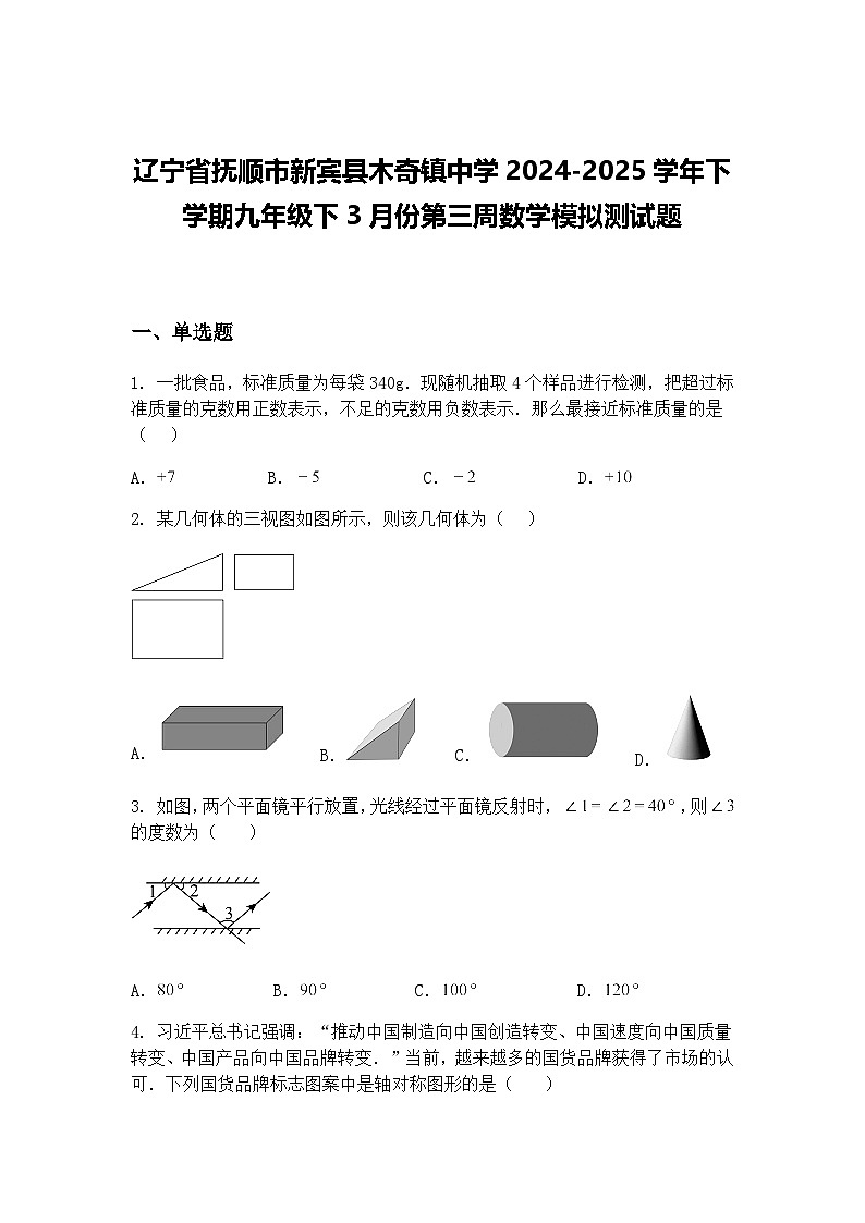 辽宁省抚顺市新宾县木奇镇中学2024-2025学年下学期九年级下3月份第三周数学模拟测试题（含答案解析）第1页
