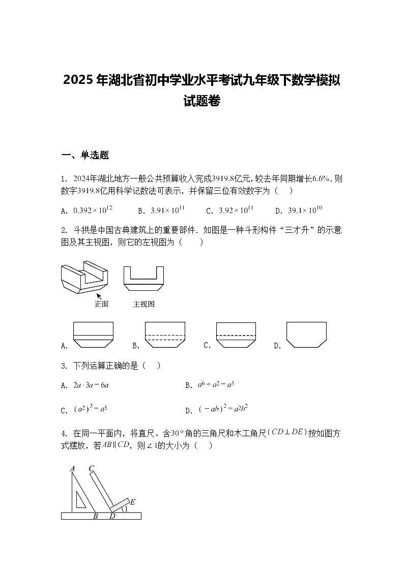 2025年湖北省初中学业水平考试九年级下数学模拟试题卷（含答案解析）第1页