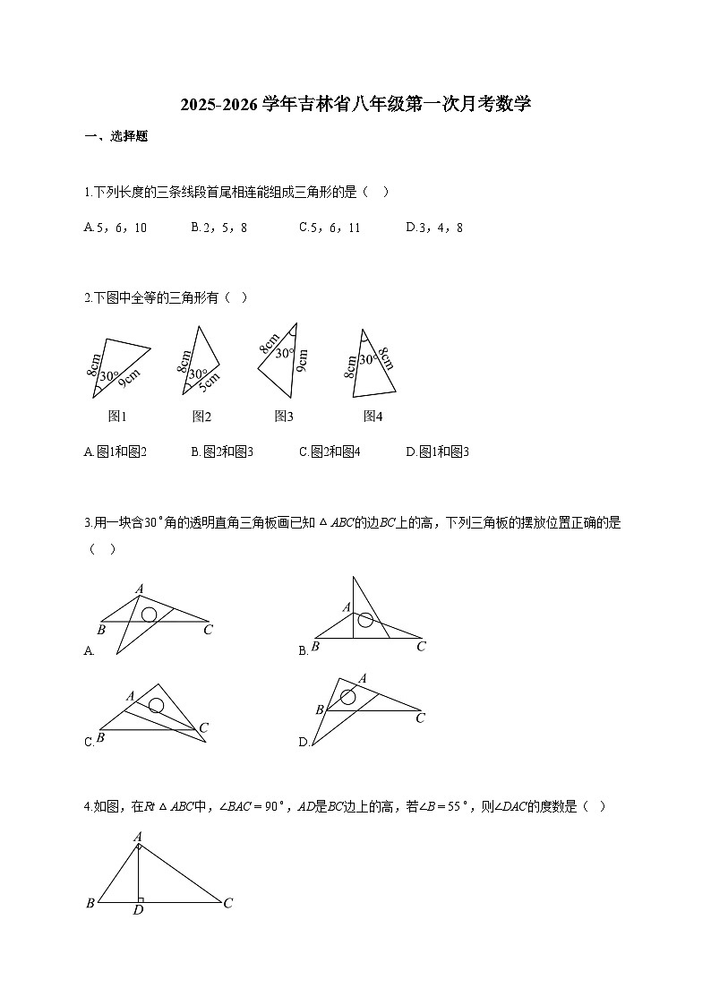 2025-2026学年吉林省八年级上册第一次月考数学（含答案）第1页