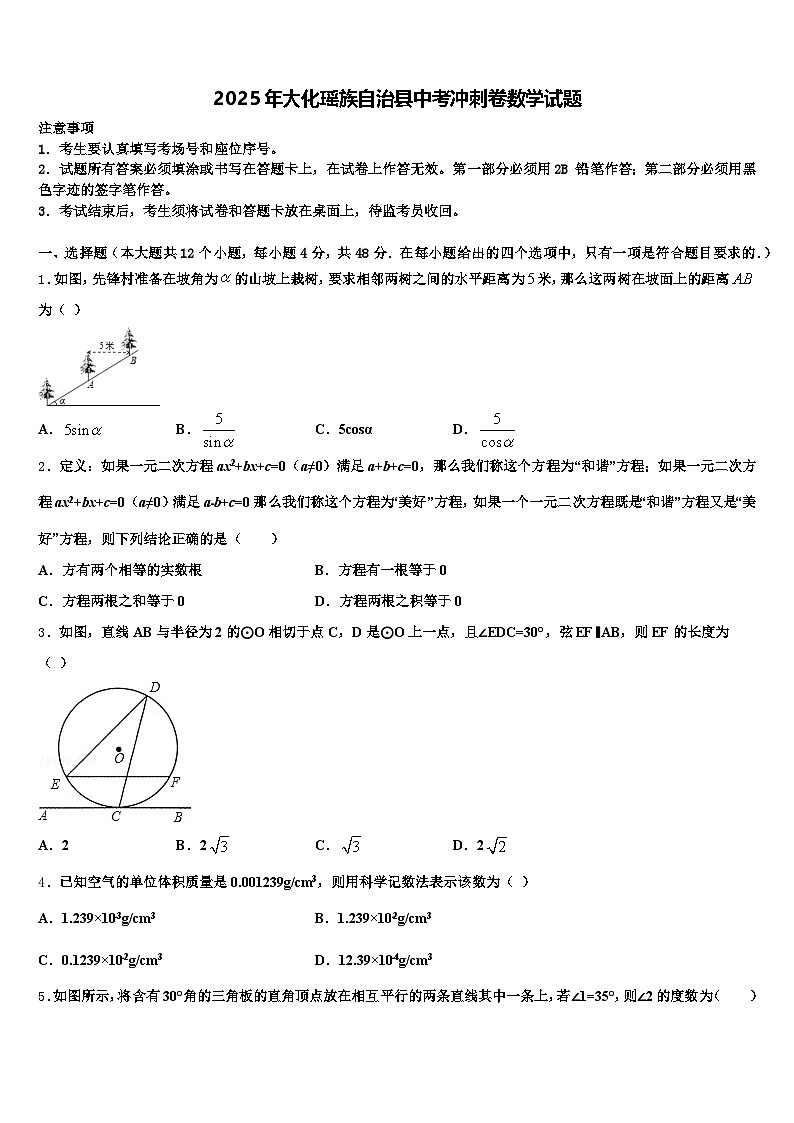 2025年大化瑶族自治县中考冲刺卷数学试题含解析第1页